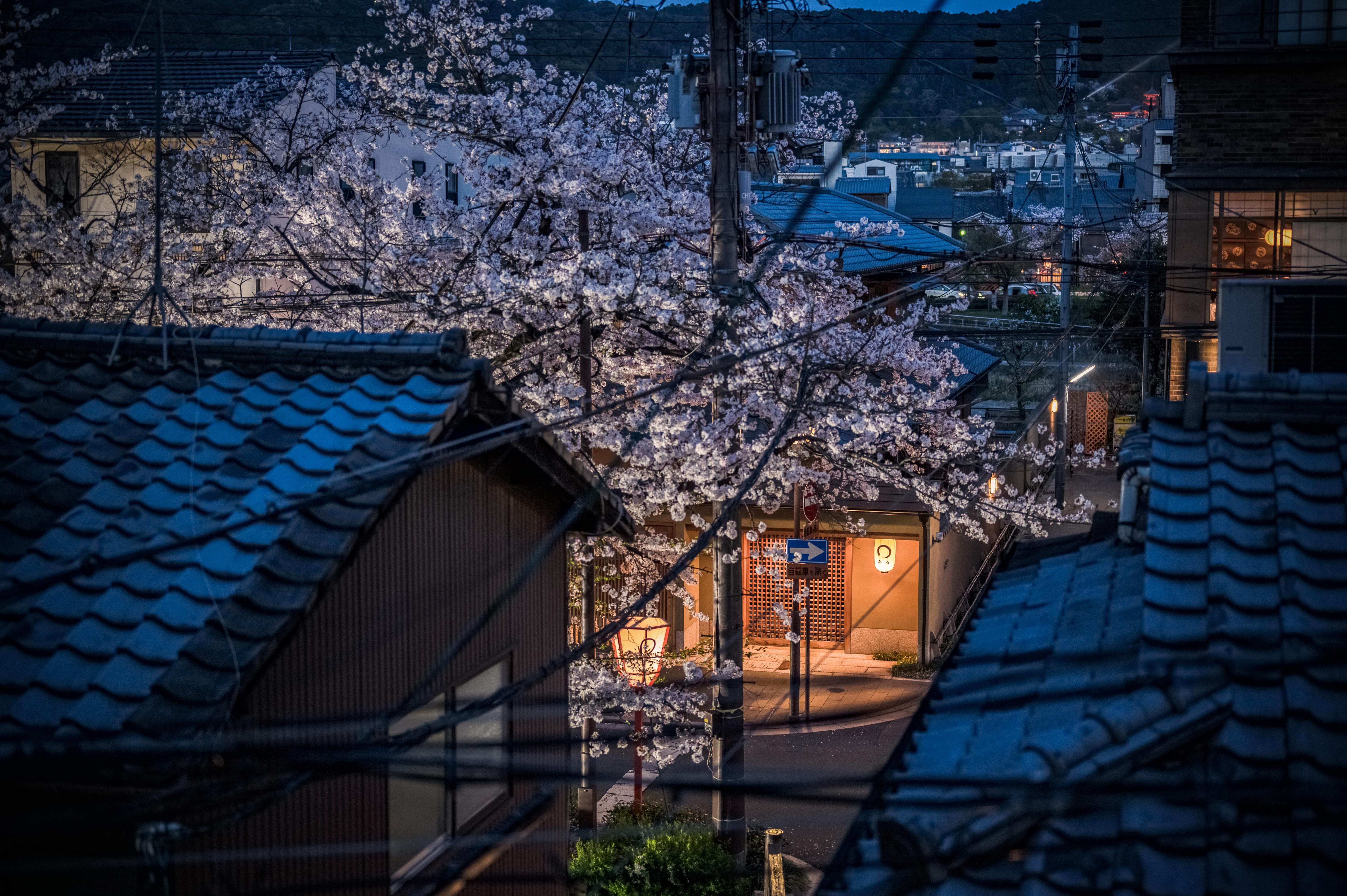 Kabaya House private rooftop terrace with panoramic Kyoto views